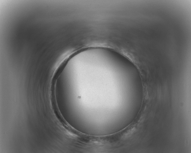 X0000067510199200604150142