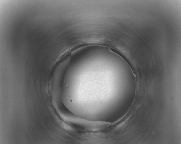 X0000067510201200604150142