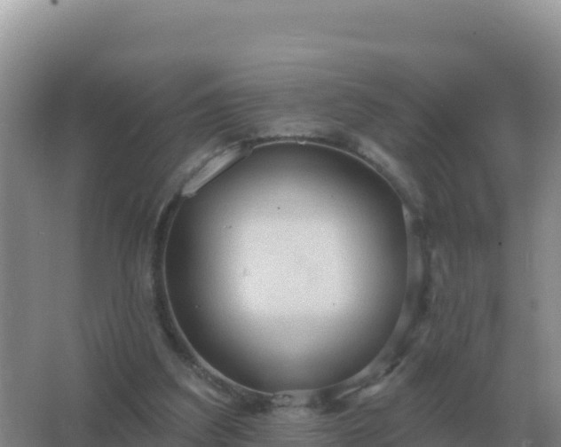 X0000067510203200604150142