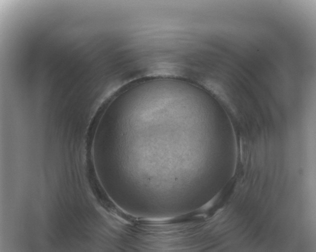 X0000067510204200604150142