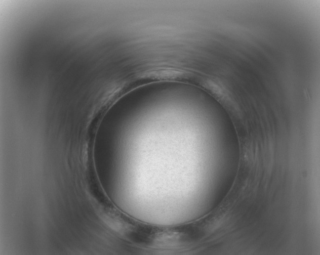 X0000067510206200604150142