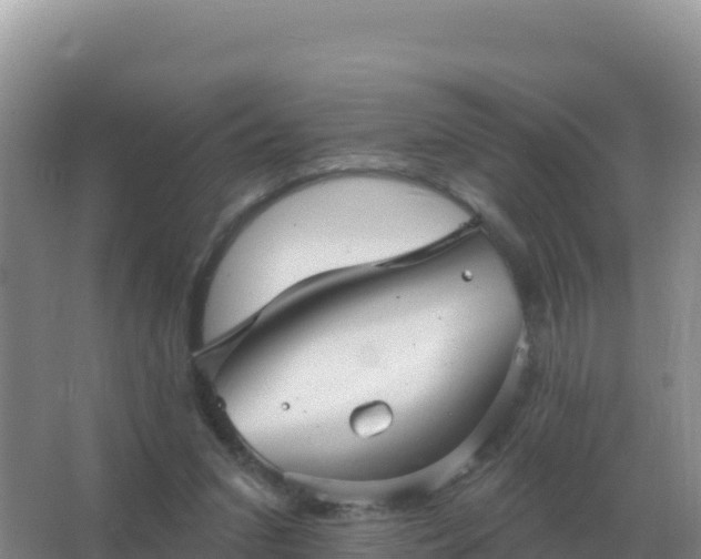 X0000067510207200604150142