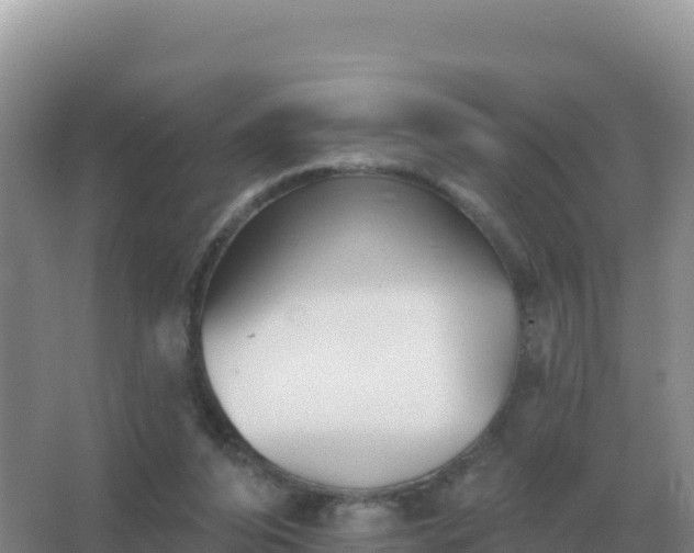 X0000067510208200604150142