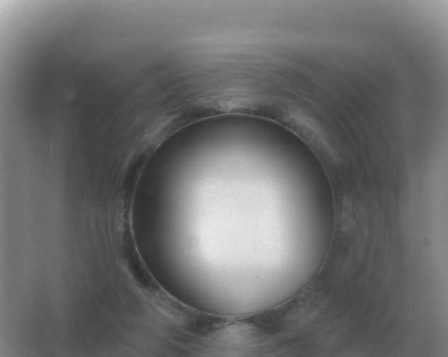 X0000067510210200604150142