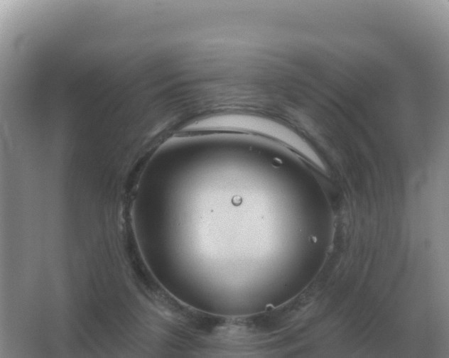 X0000067510211200604150142