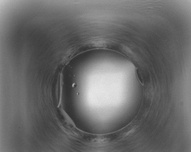 X0000067510213200604150142