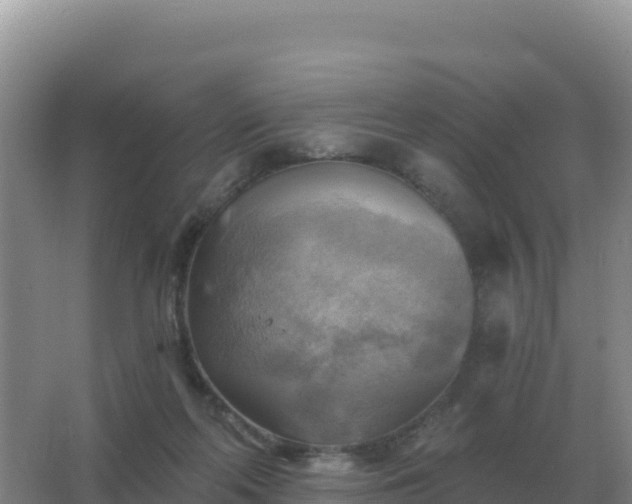 X0000067510214200604150142