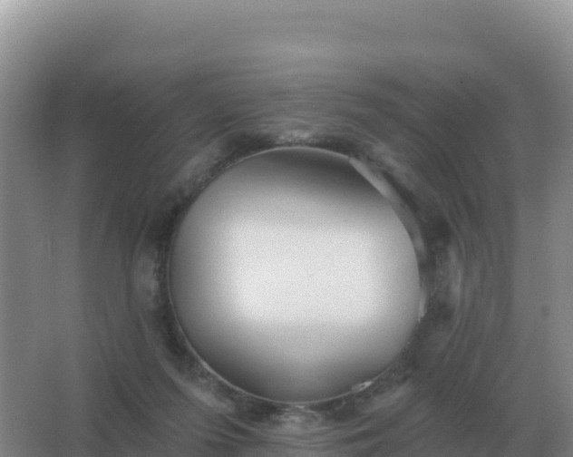 X0000067510215200604150142