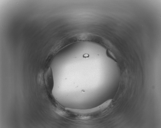 X0000067510217200604150142