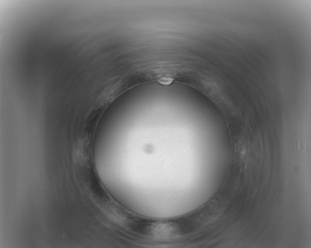 X0000067510218200604150142