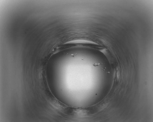 X0000067510221200604150142