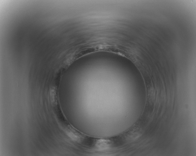 X0000067510222200604150142