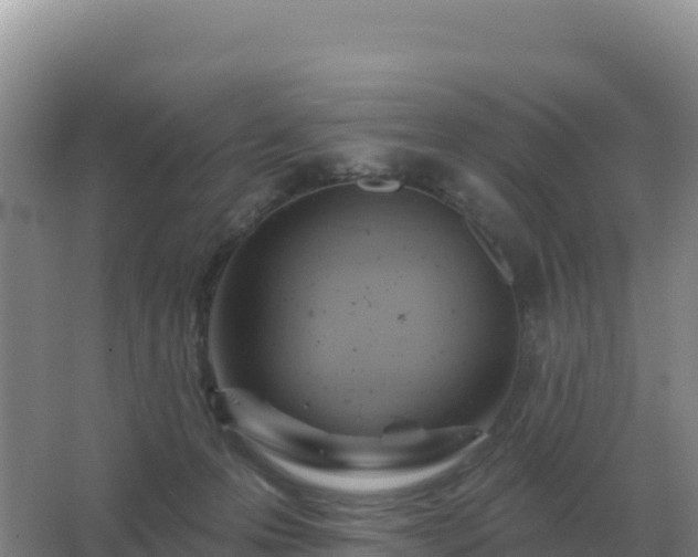 X0000067510223200604150142