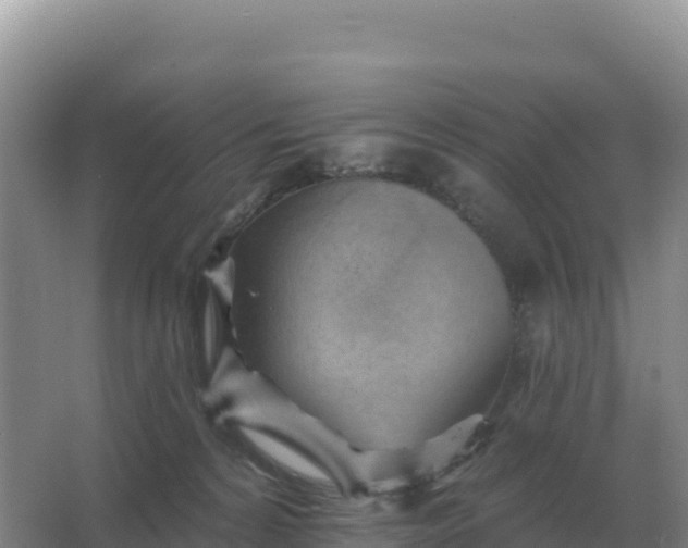 X0000067510224200604150141