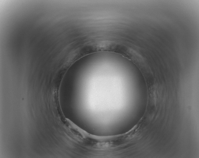 X0000067510225200604150141