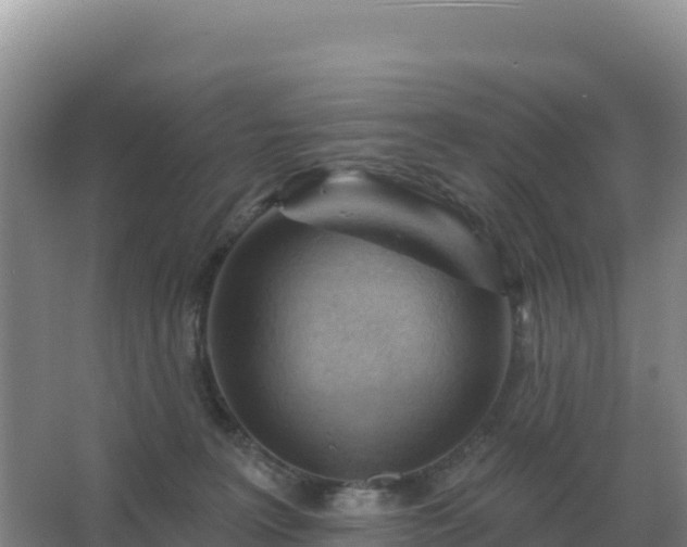 X0000067510227200604150141