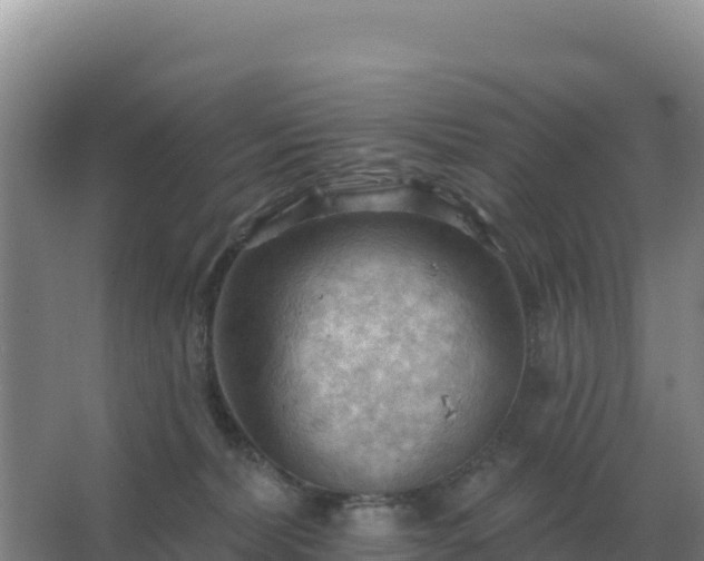 X0000067510228200604150141