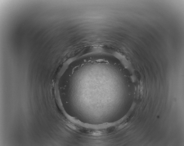 X0000067510229200604150141