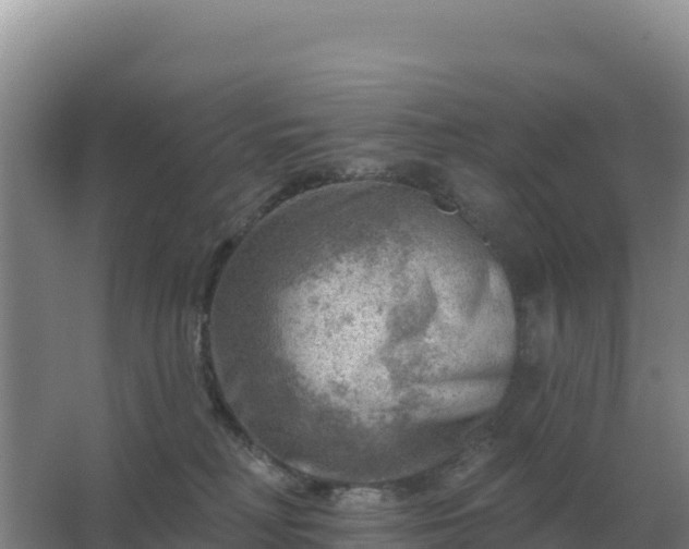 X0000067510230200604150141