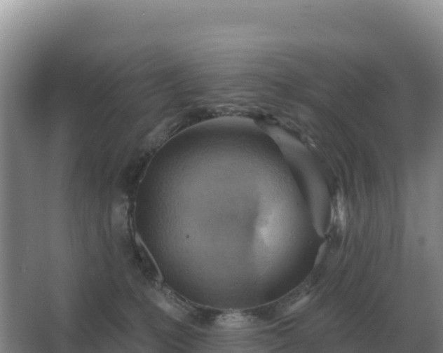 X0000067510231200604150141