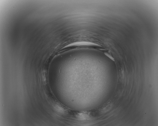 X0000067510232200604150141