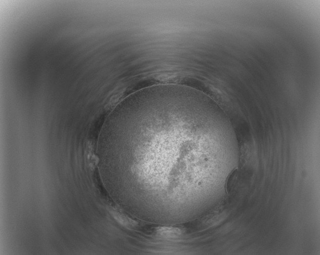 X0000067510234200604150141