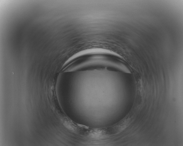 X0000067510235200604150141