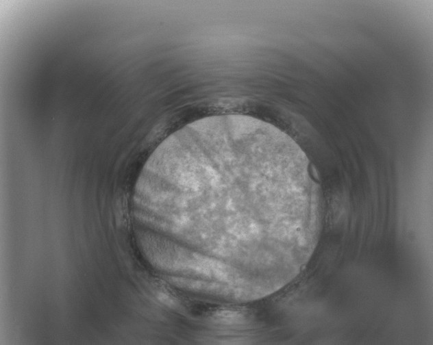 X0000067510236200604150141