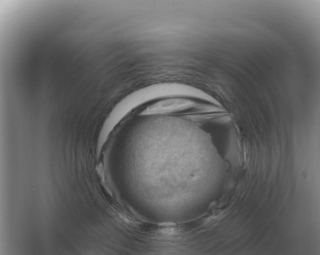 X0000067510237200604150141