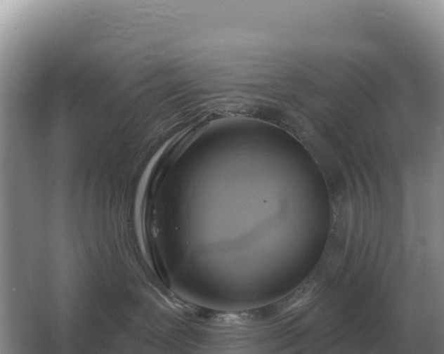 X0000067510239200604150141