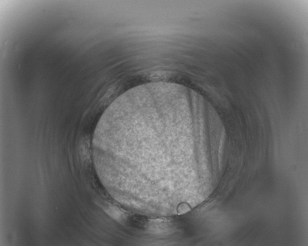 X0000067510240200604150141