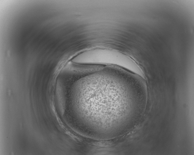 X0000067510241200604150140