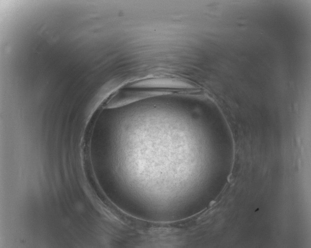 X0000067510242200604150140