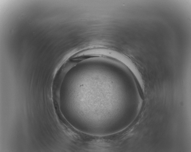 X0000067510244200604150140