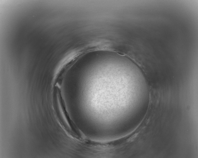 X0000067510245200604150140