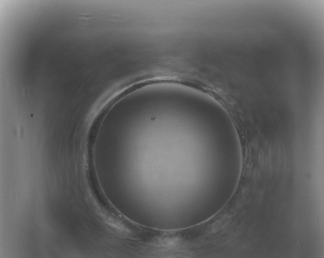 X0000067510247200604150141