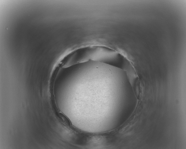 X0000067510248200604150141