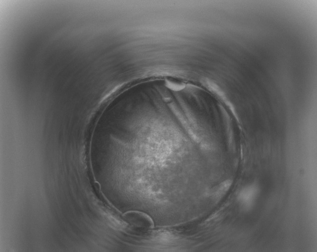 X0000067510249200604150141