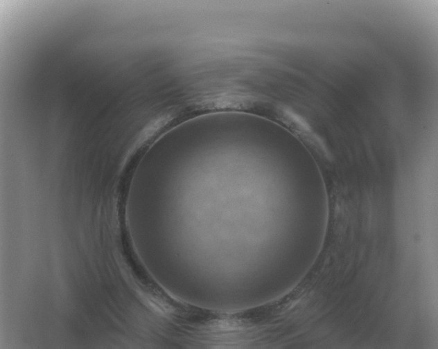 X0000067510250200604150141