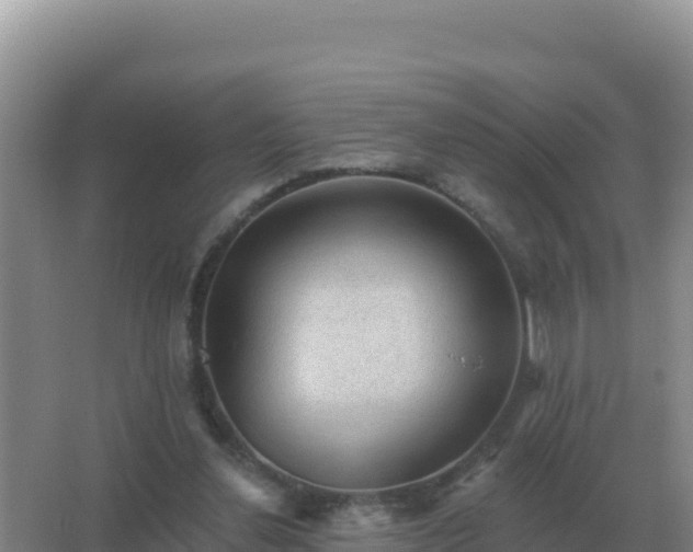 X0000067510252200604150141