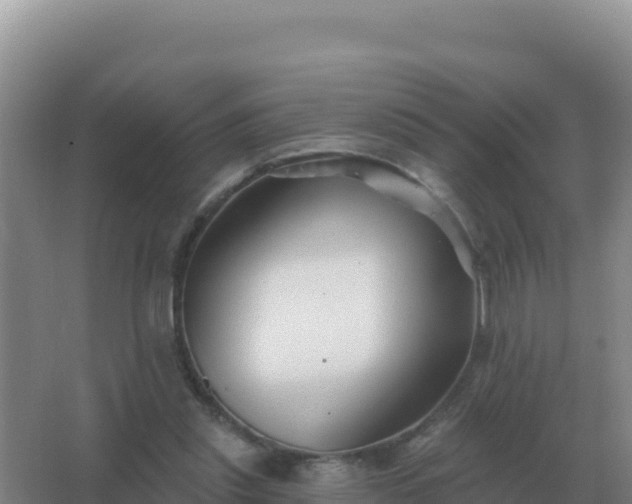 X0000067510253200604150141