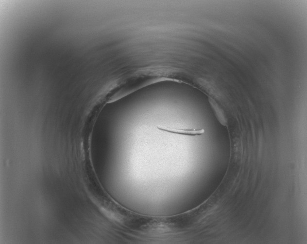 X0000067510254200604150141