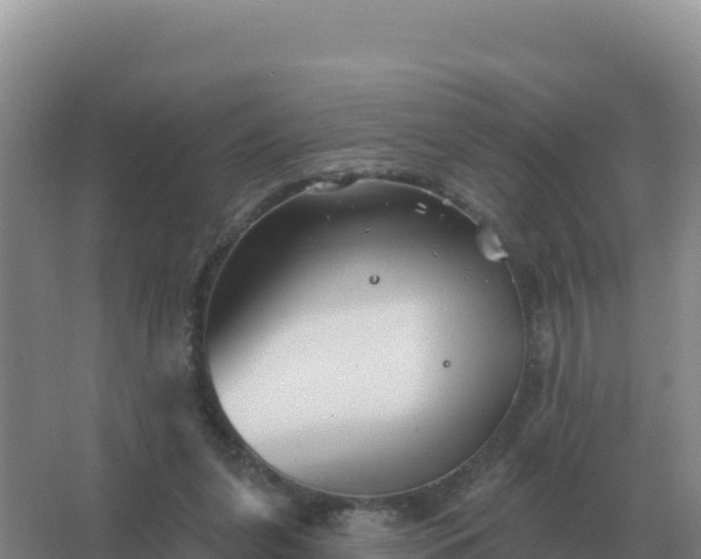 X0000067510255200604150141