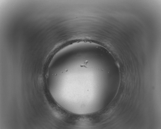 X0000067510256200604150141