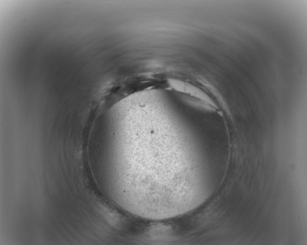 X0000067510257200604150141