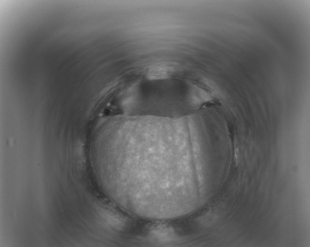 X0000067510258200604150141