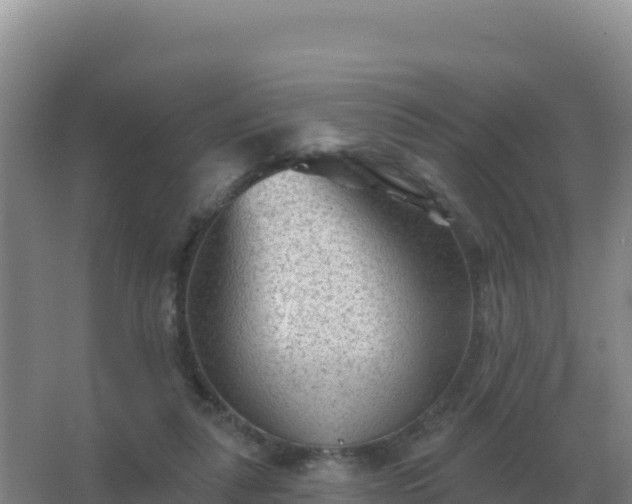 X0000067510259200604150141