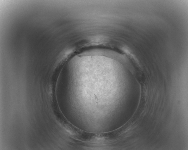 X0000067510260200604150141