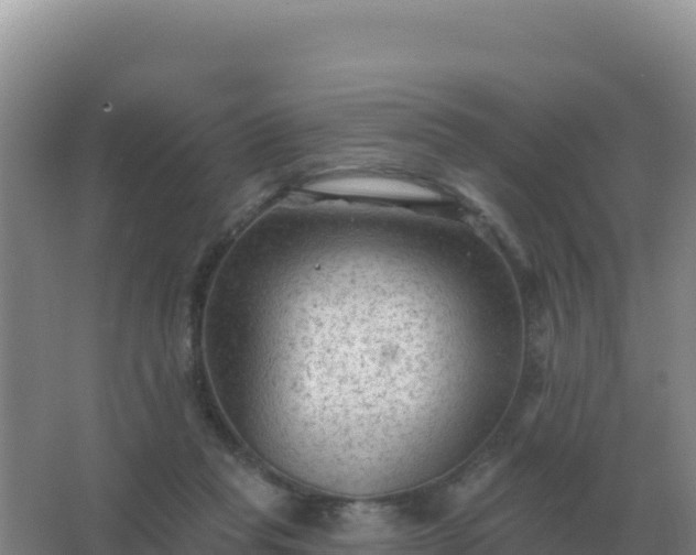 X0000067510261200604150141