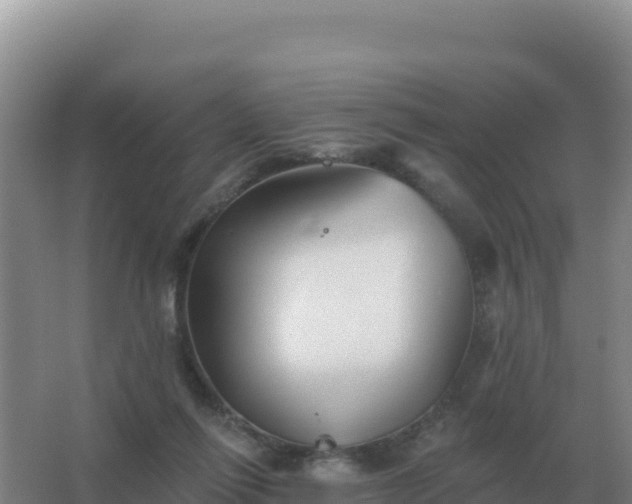 X0000067510262200604150141